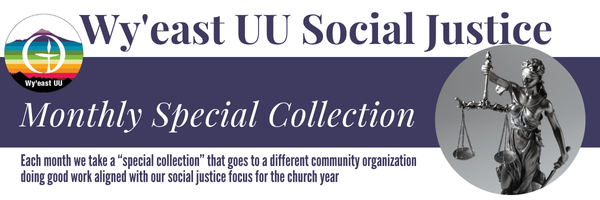 Special Collection Graphic